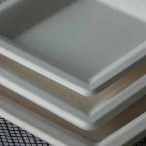 Bagasse Disposable Square Plates