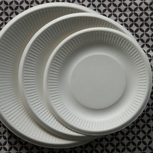 Bagasse Disposable Round Plates