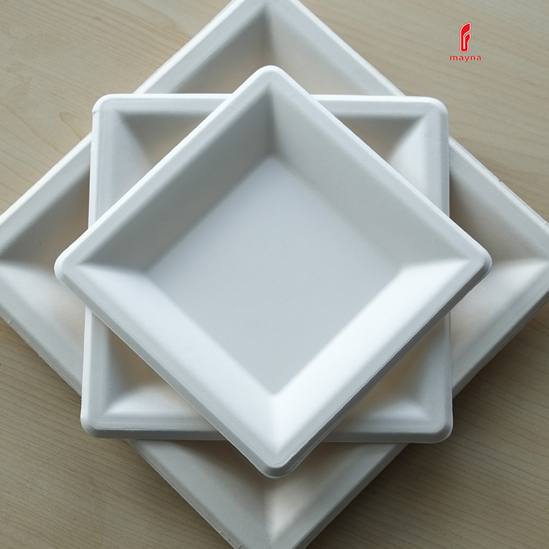 Bagasse Disposable Square Plates Featured Image