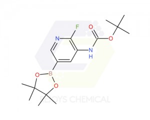 1310405-07-2 | 3-Tert-butyloxycarbonylamino-2-fluoropyridine-5-boronicacidpinacol ester