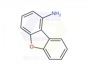 Discountable price Methyl 3-oxocyclobutanecarboxylate - 50548-40-8 | 1-Dibenzofuranamine – Rejoys Chemical
