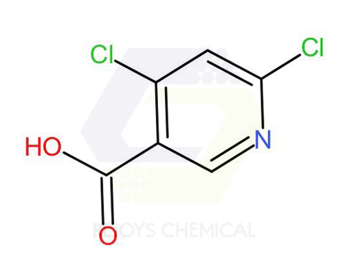 Top Quality 5597-27-3 - 73027-79-9 | 4,6-Dichloronicotinic acid – Rejoys Chemical