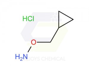 Leading Manufacturer for Oxetan-3-one - 74124-04-2 | O-Cyclopropylmethyl-hydroxylamine hcl – Rejoys Chemical