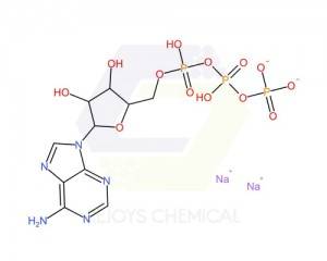 China Factory for 497-38-1 - 987-65-5 | Adenosine 5′-triphosphate disodium salt – Rejoys Chemical