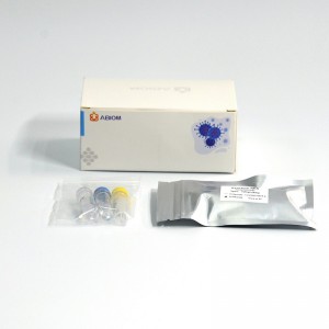 Monkeypox Virus Detection Kit Real Time PCR Kit