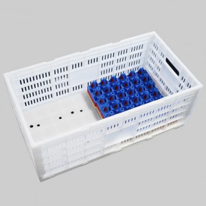 Retech Design Safe PP Plastic Fold Egg Crate for Transport