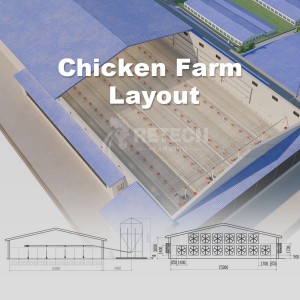 Broiler Floor Raising Chicken Farming Automatic Poultry Equipment in Indonesia