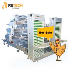 Original Factory Cages Chicken - New Design Automatic A Type 4 Tiers 160 Birds Layer Chicken Cages – Retech