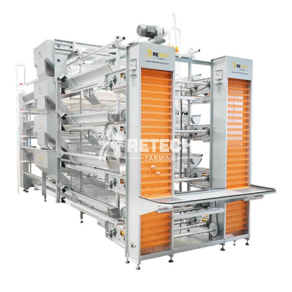 2022 wholesale price Egg Layer Poultry Farm - Modern Design layer Poultry Equipment  Automatic Chicken Farms with cages – Retech