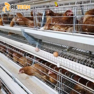 Cheap price China New Design 4 Tiers Manual Chicken Battery Layer Cage for Poultry Farms