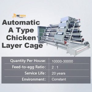 Hot Sale Automatic Poultry  Farm Equipment A Type Layer Chicken Cage