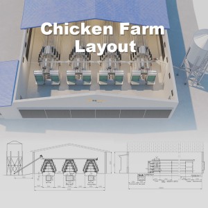 Best Price 4 Tiers A Type Hot DIP Galvanized Layer Battery Chicken Cage for Sale