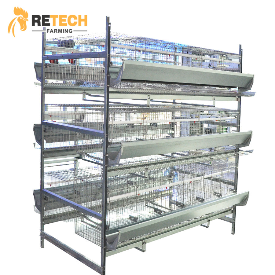 factory customized Pullet Cage - Automatic Breeder Chicken Battery Cage – Retech