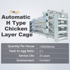 Good price automatic poultry farm H type layer chicken cage for sale