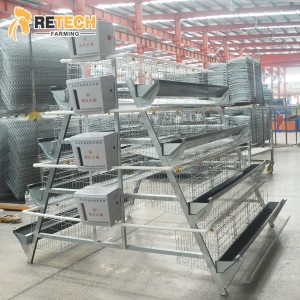 Durable Poultry Chicken Farm Equipment Layer Cages with egg collection system