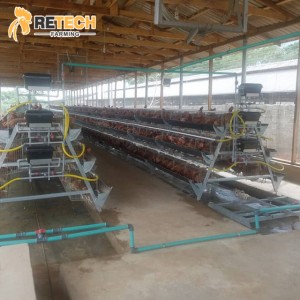 Durable Poultry Chicken Farm Equipment Layer Cages with egg collection system