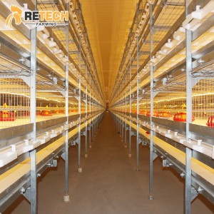 Reasonable price for Large Scale Broiler Farming - RETECH Automatic H Type Poultry Farm Broiler Chicken Cage – Retech