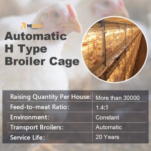 China Manufacturer Automatic Broiler Chicken Cage Poultry Farm Equipment