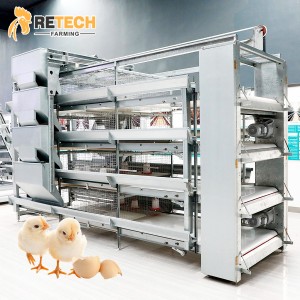 Factory selling Pullet Cages - RETECH Automatic H Type Poultry Farm Pullet Chicken Cage – Retech