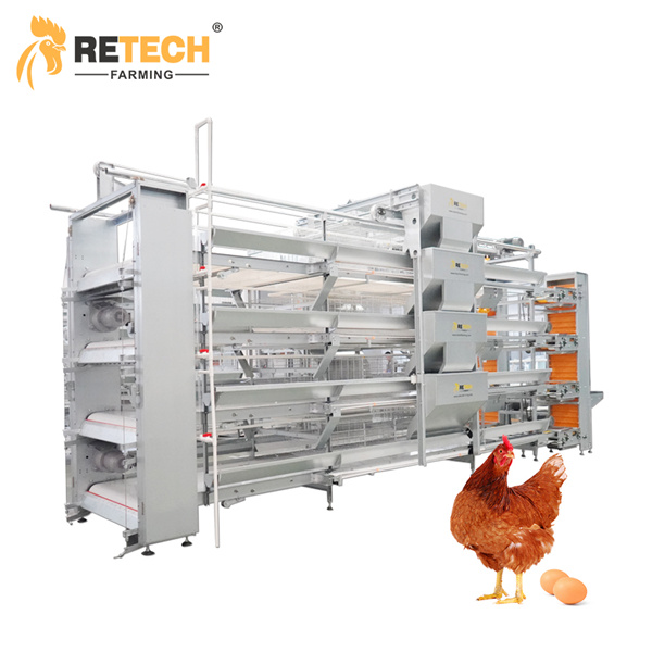 Why commercial chicken farms should choose Retech equipment？