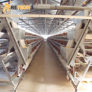 RETECH Automatic A Type Poultry Farm Layer Chicken Cage