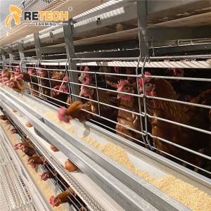 2024 New design modern H type 3/4 tiers layer cages egg poultry farm