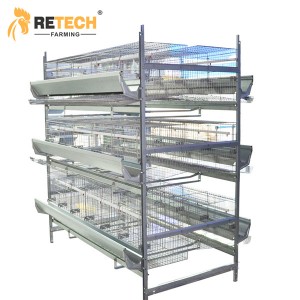 Automatic Breeder Chicken Battery Cage