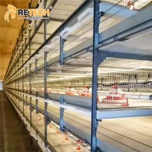 Best sale modern poultry farm automatic battery broiler cage equipment in Kenya