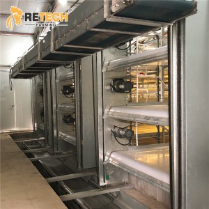 RETECH Automatic H Type Poultry Farm Broiler Chicken Cage
