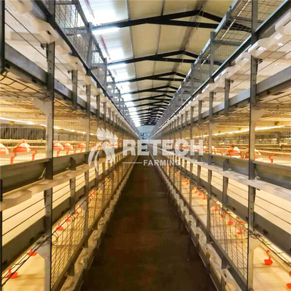 OEM Manufacturer Breeding Cages - Modern Chicken Farm Broiler Automatic Battery Cage Poultry Equipment in Senegal – Retech