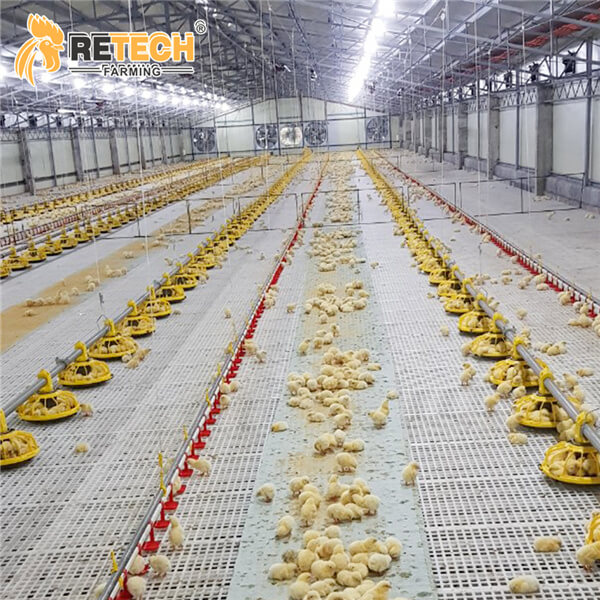 8 Year Exporter Broiler Poultry Equipment - RETECH Automatic Broiler Floor System with Plastic Slat – Retech