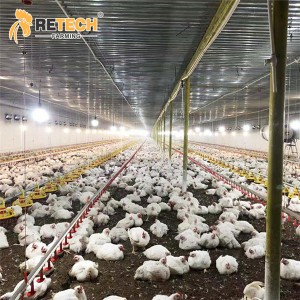 Closed steel structure poultry farm broiler floor raising system chicken house with feeding pan