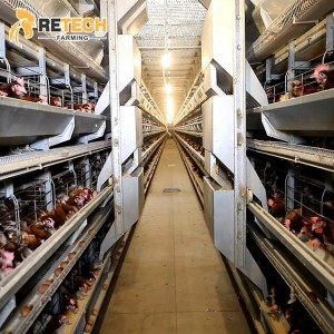 Factory wholesale Chicken Egg Cage - RETECH Automatic H Type Poultry Farm Layer Chicken Cage – Retech