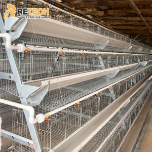 Factory direct supply simple A-type layer cage equipment in Nigeria poultry farm
