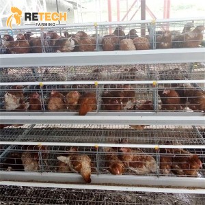 High Quality Manual A Type Layer Chicken Cage