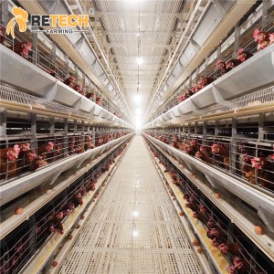 RETECH Automatic H Type Poultry Farm Layer Chicken Cage