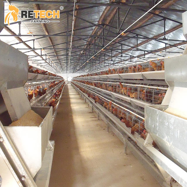 Advantages of drinking water systems in enclosed chicken houses