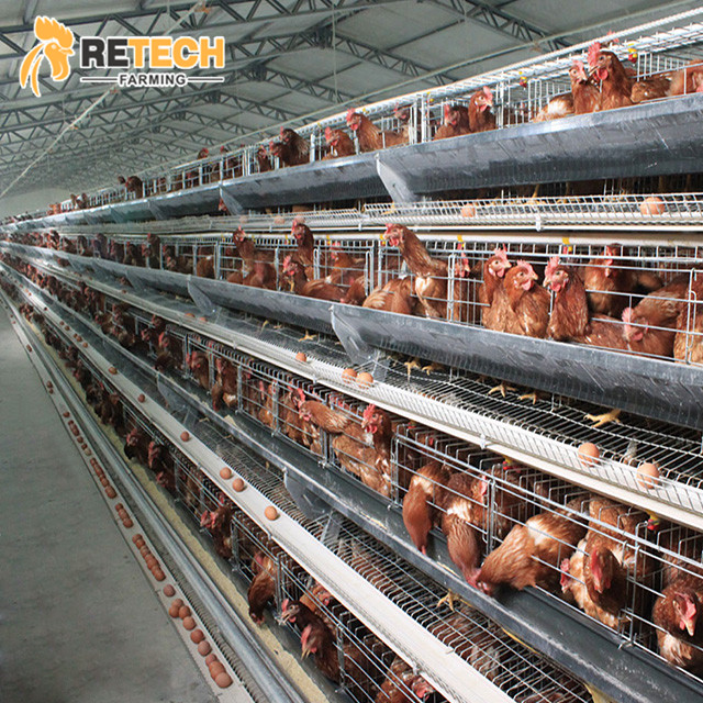 Cheapest Price Poultry Farming System - Best Price Automatic Poultry Farm Equipment Battery Layer Chicken Cages for Sale – Retech