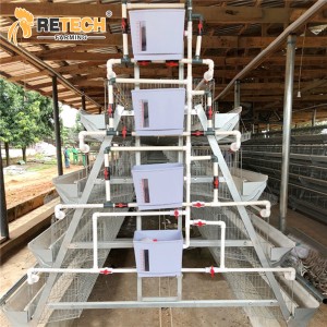 High Quality Manual A Type Layer Chicken Cage