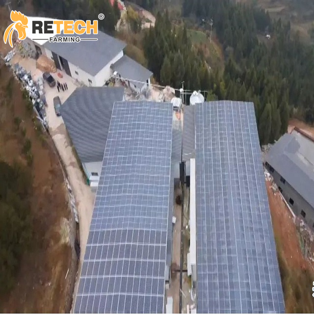 Photovoltaic intelligent poultry farm completed