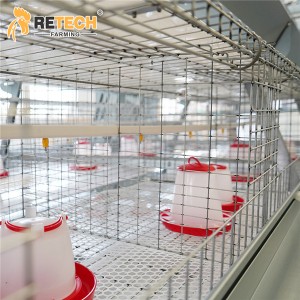 Automatic A Type 3 Tiers 144 Birds Pullet Layer Chicken Battery Cage for Poultry Farm