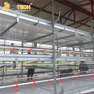 Hot Dipped Galvanized 4 Tiers Pullet Layer Rearing Battery Chicken Cage for Sale