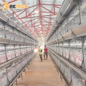 Hot Dipped Galvanized 4 Tiers Pullet Layer Rearing Battery Chicken Cage for Sale