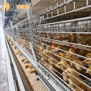 China Supplier H Type Pullet Battery Cages for Broilers and Baby Chicks Farming
