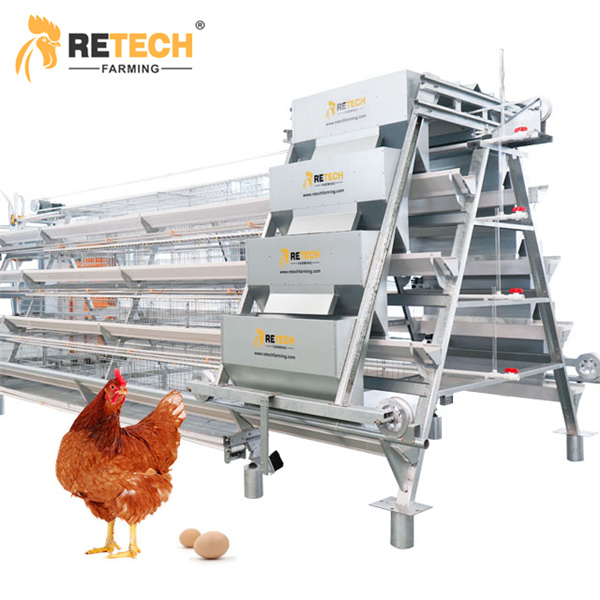 New chicken cage that increases breeding capacity by 20%