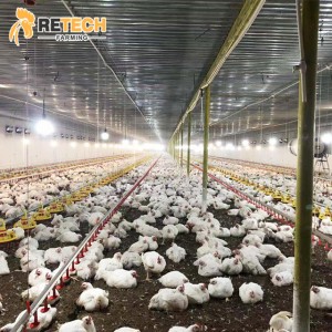 Good Price Broiler Poultry Farm Chicken House with Feeding System on Ground