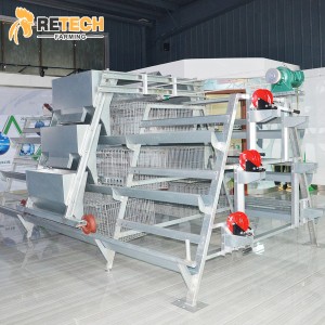 China OEM Pullet Farm - Automatic A Type 3 Tiers 144 Birds Pullet Layer Chicken Battery Cage for Poultry Farm – Retech