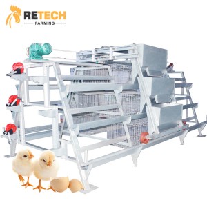 Automatic Poultry Farm Equipment Pullet Chicken Cage for Raising System in Indonesia