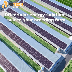 50kW/100kW Photovoltaic Power Generation System On/Off Grid Solar Power System for Chicken Farm