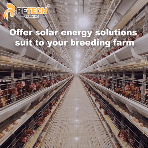 50kW/100kW Photovoltaic Power Generation System On/Off Grid Solar Power System for Chicken Farm